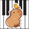 星空传媒视频解说中文版