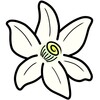 光明影院免费版观看电视剧官方版