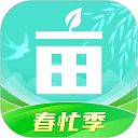 新星直播
